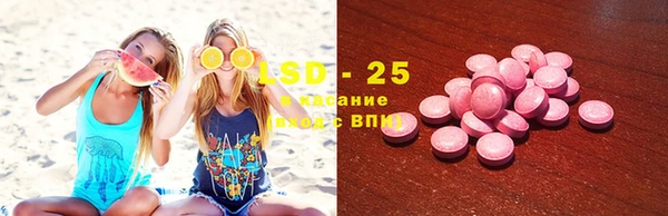 дурь Вяземский