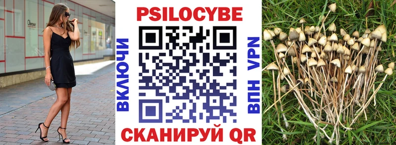 это наркотические препараты  где найти наркотики  Губкин  Галлюциногенные грибы Magic Shrooms 