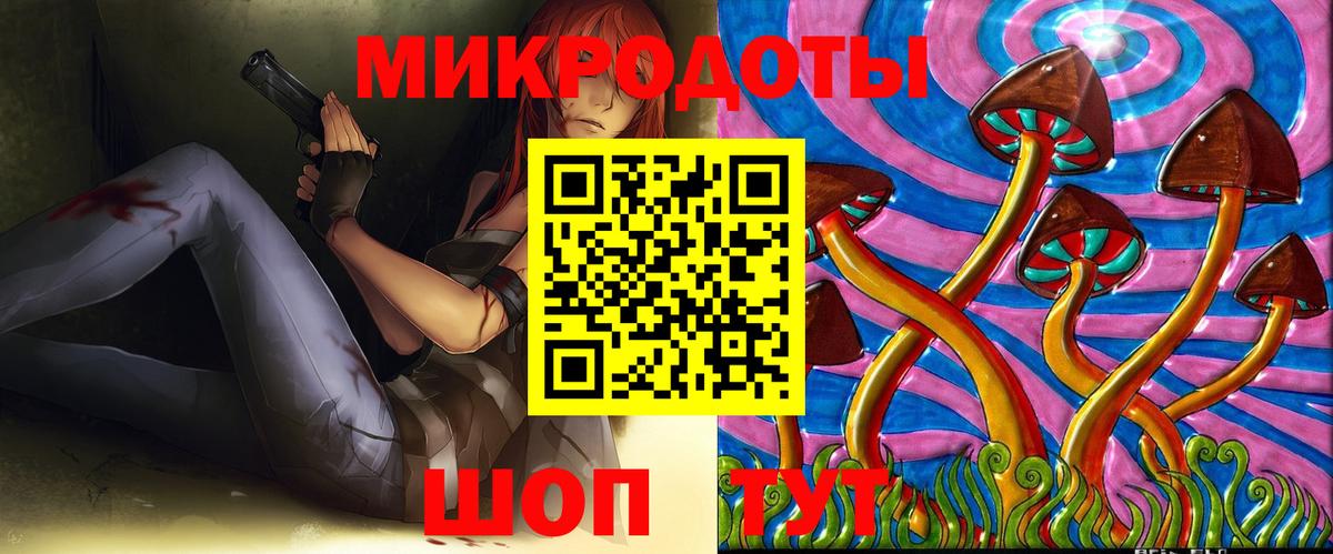 Галлюциногенные грибы Psilocybine cubensis Губкин