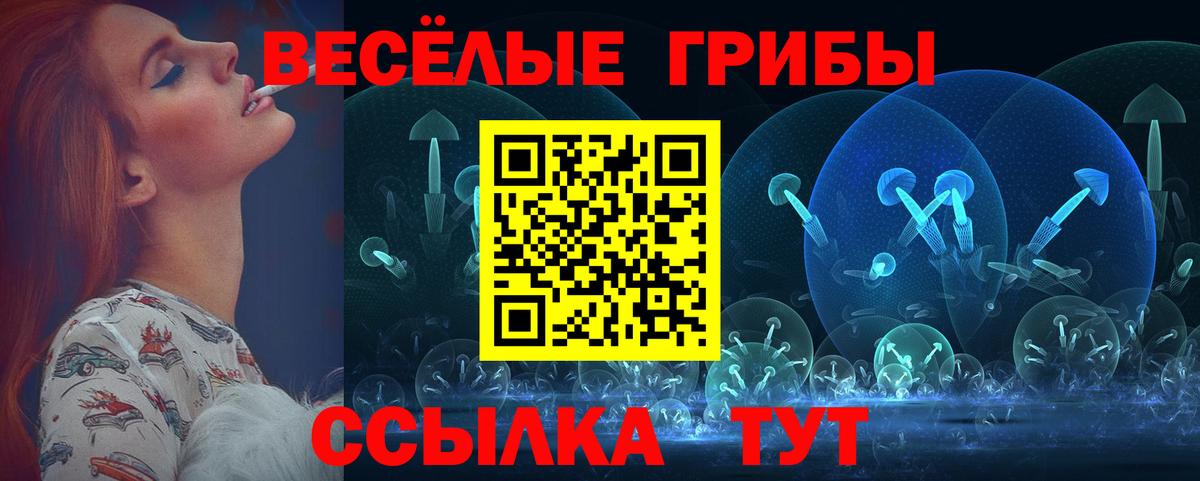 Губкин  Псилоцибиновые грибы ЛСД  Вход с VPN 