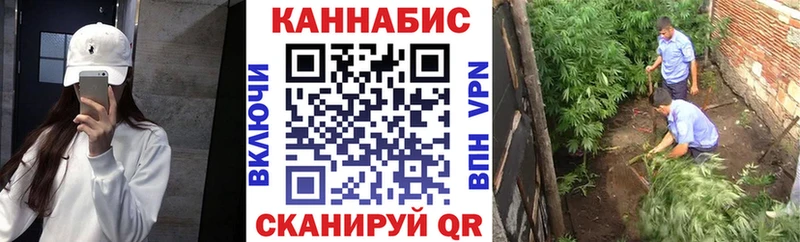 Шишки марихуана индика что такое Губкин